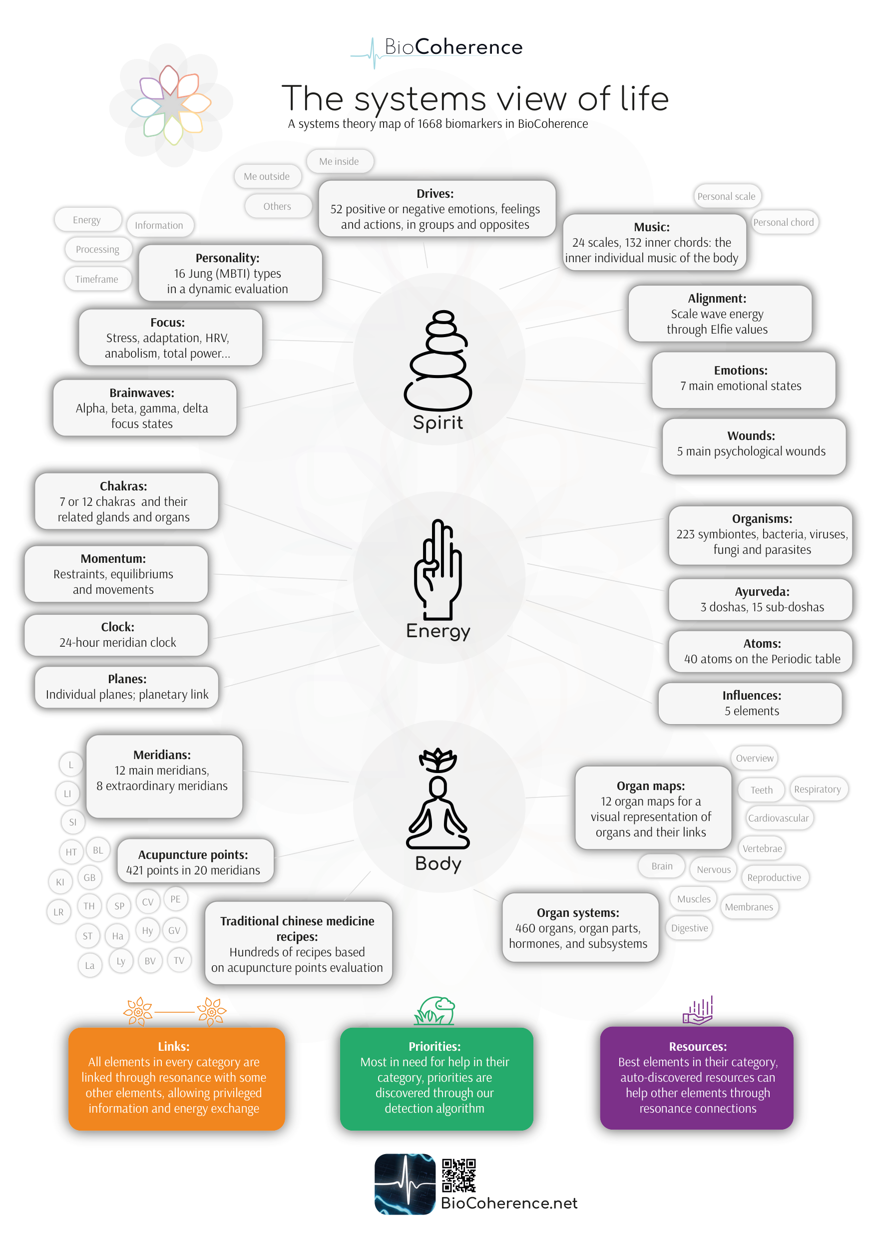BioCoherence Systems View - 1,668 biomarkers mapped across Spirit, Energy, and Body